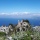 Osservatorio Ornitologico di Capri